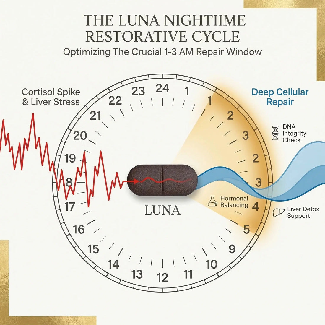 The Melatonin Trap: Why Synthetic Sleep Aids Leave You Groggy (And What to Take Instead) NyxSeren