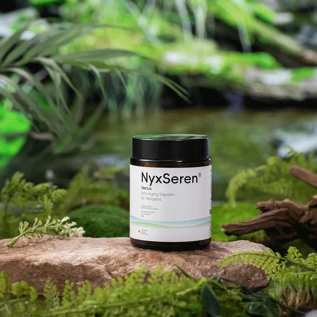 Resetting-Your-Biological-Clock-Scientific-Ways-to-Regulate-Circadian-Rhythms NyxSeren